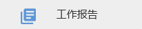 工作報告